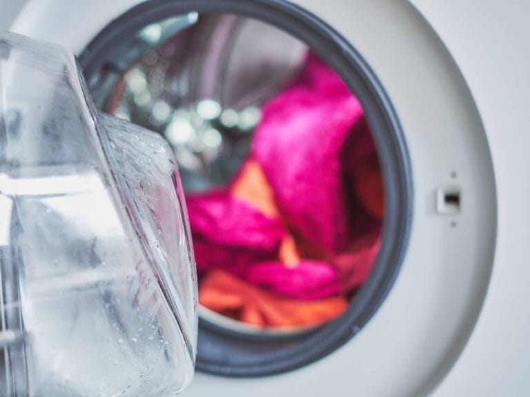Polar w pralce. Obrazek w artykule