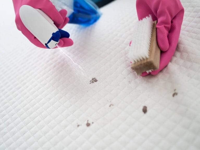 Plamy z krwi na dywanie. Obrazek w artykule Jak usunąć plamy z krwi? Poradnik jak usunąć plamy z krwi z różnych powierzchni